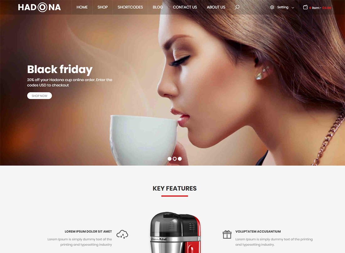 Hadona - Single Product WordPress Theme
