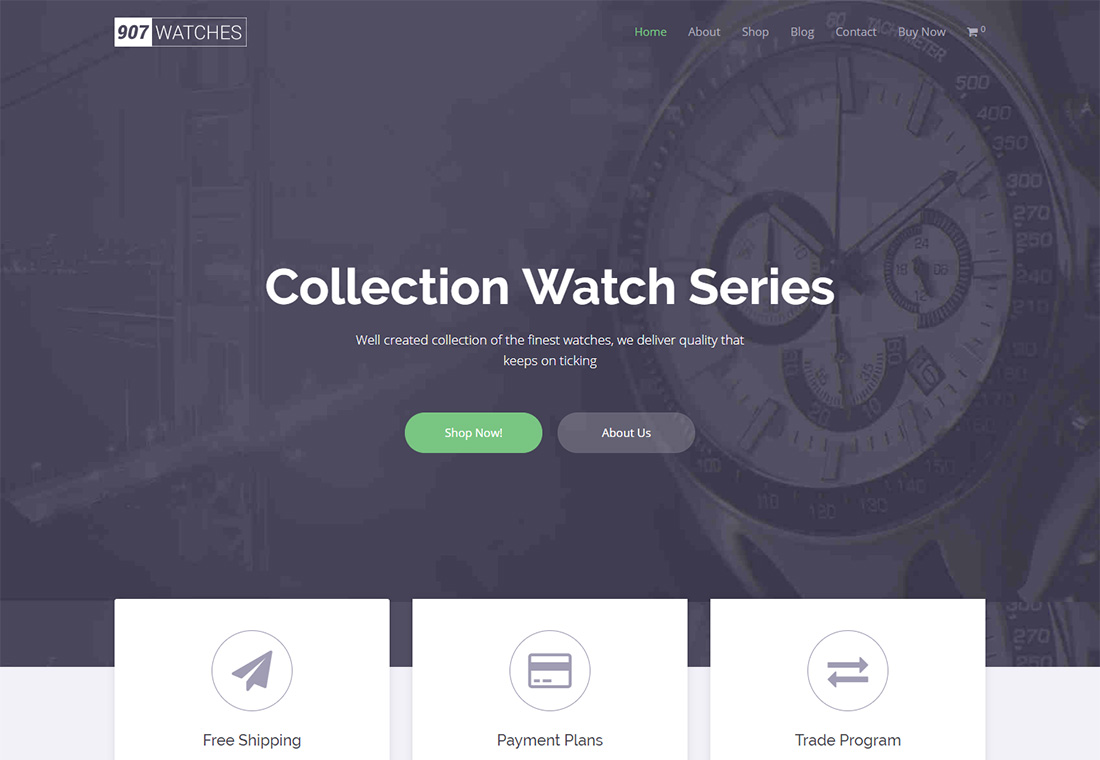 907 - Single Product WordPress Theme