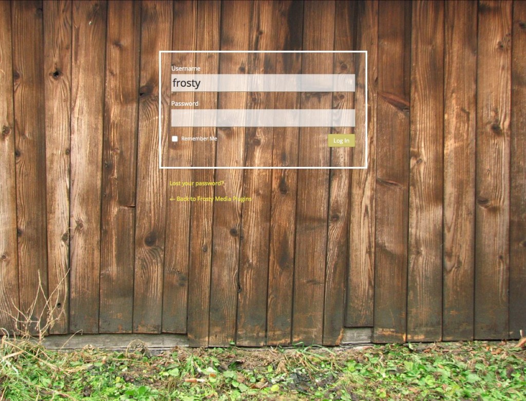Custom Login Demo Output