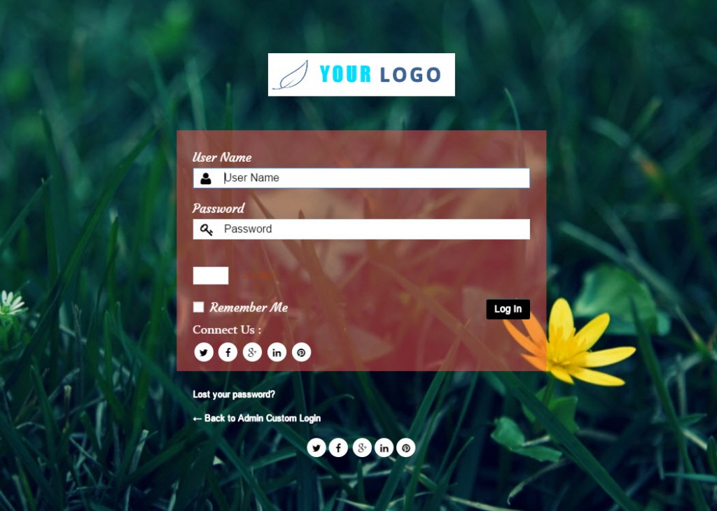 Custom Login Plugin Output