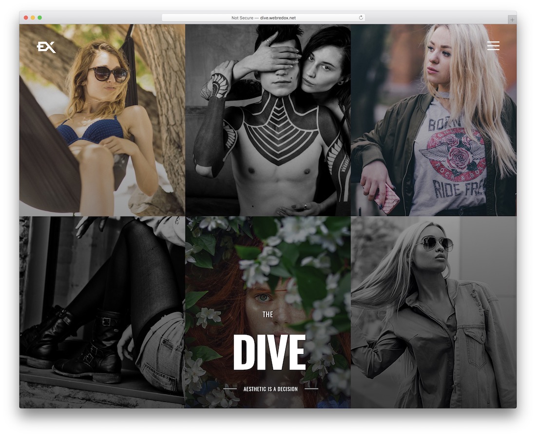 dive wordpress gallery theme