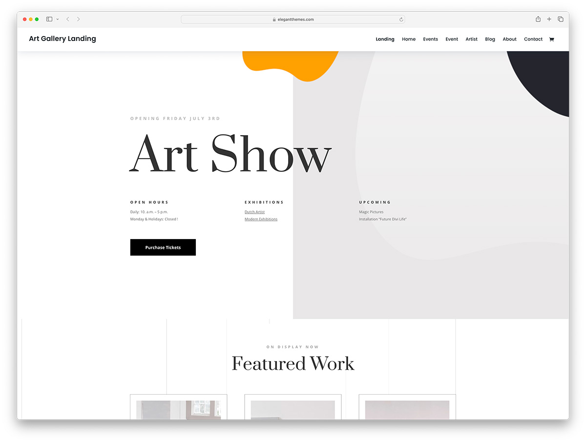 Divi - art gallery WordPress theme