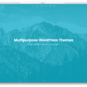 31 Best Multipurpose WordPress Themes 2026