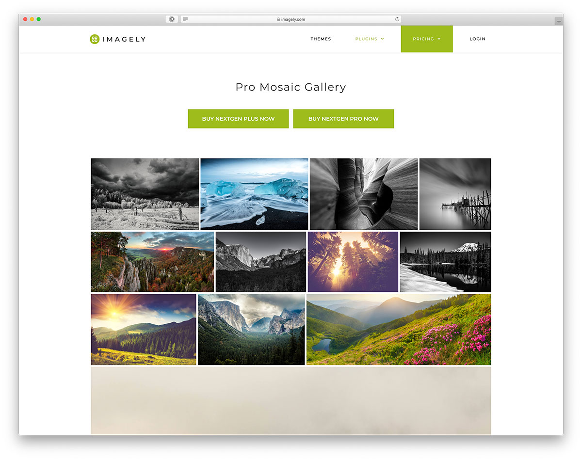 NextGen Gallery NextGen Gallery - Popular WordPress gallery plugin
