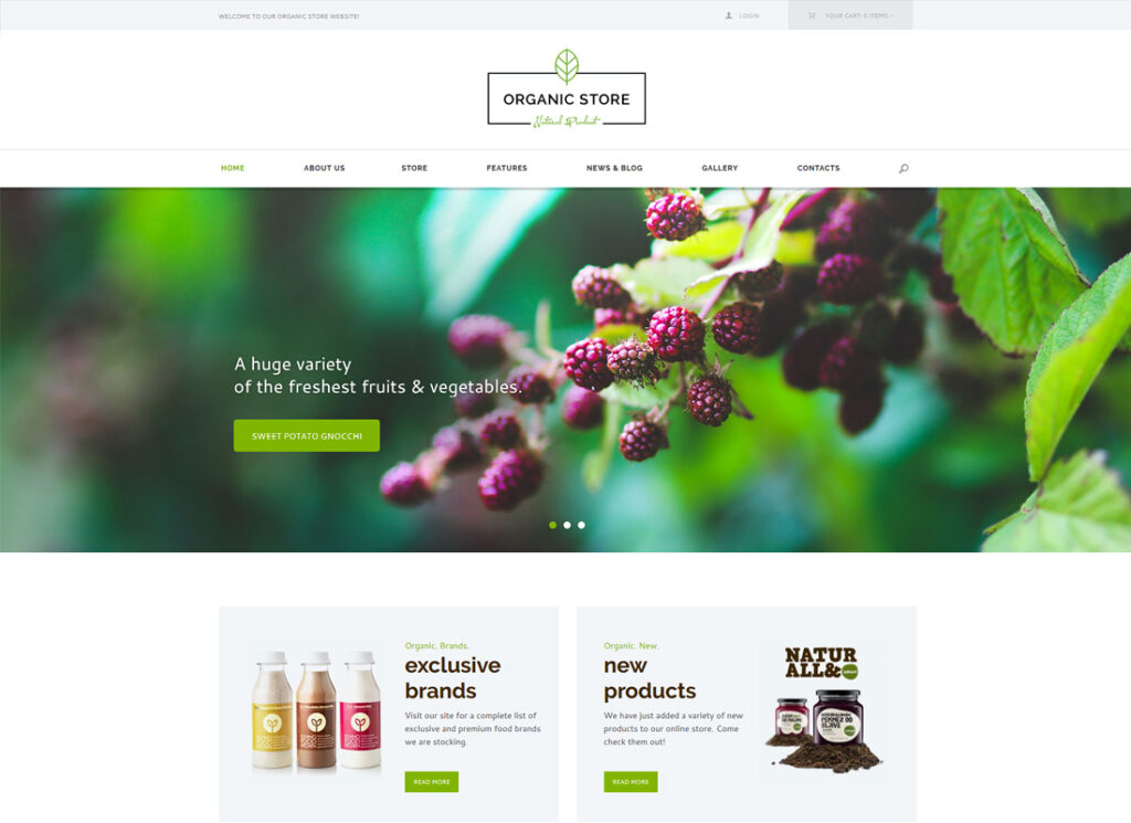 Organic Store | Organic Food & Eco Products WordPress Theme + RTL