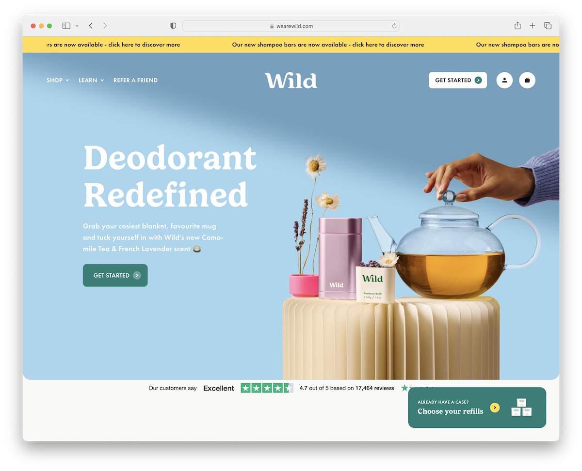 wild node js website